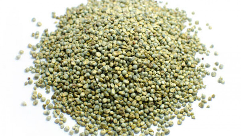 India’s Booming Agro Industry: From Oil Seeds to Animal Feed – A Supply Chain Revolution