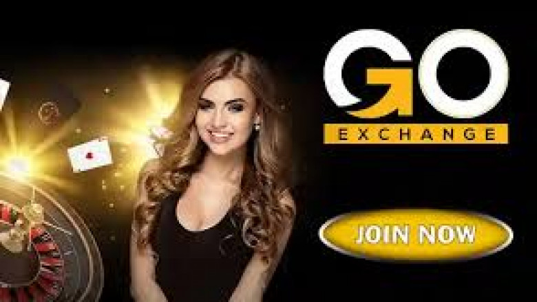 Avoid These Goexch9 ID Errors in Cricket