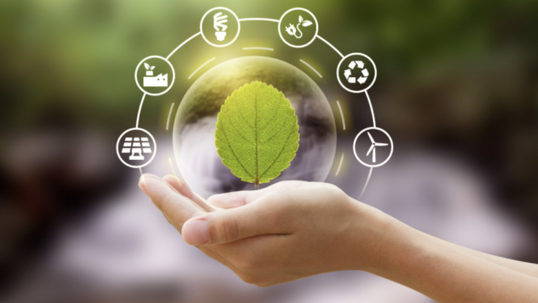 How Companies Are Integrating Sustainability Across Teams &amp; Supply Chains