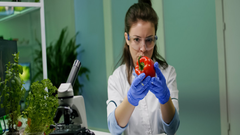 How To Become a Food Inspector? How to prepare for the food inspector exam?