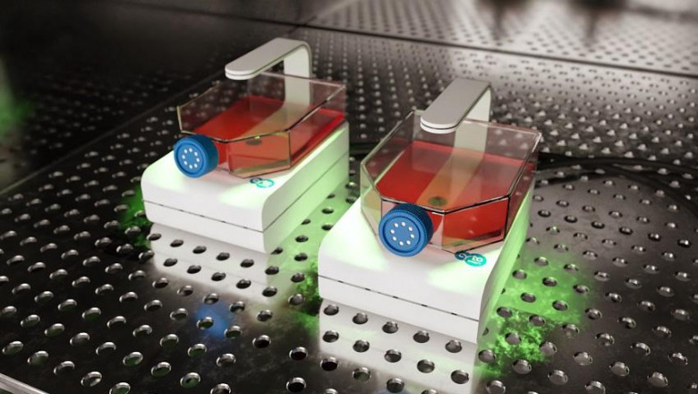 Live Cell Monitoring Market Dynamics Highlighting Regulatory Shifts and Ethical Challenges in Biotechnology
