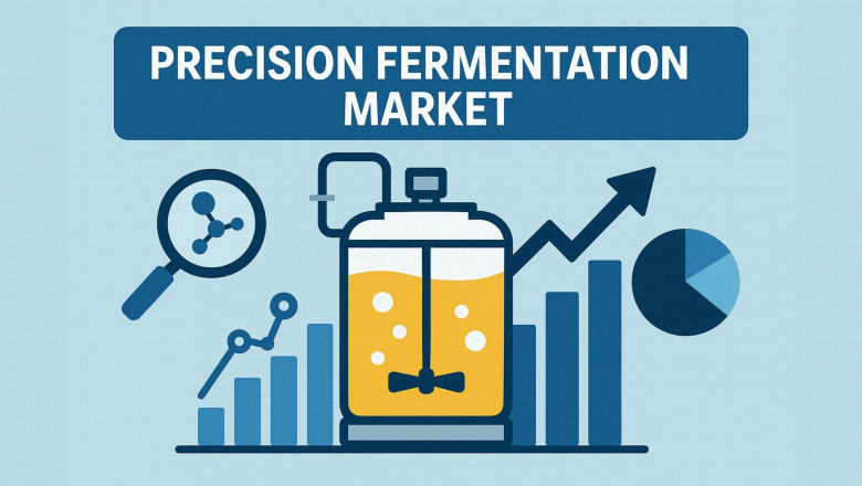 Precision Fermentation Market Evolution: Size, Share & Trends 2032