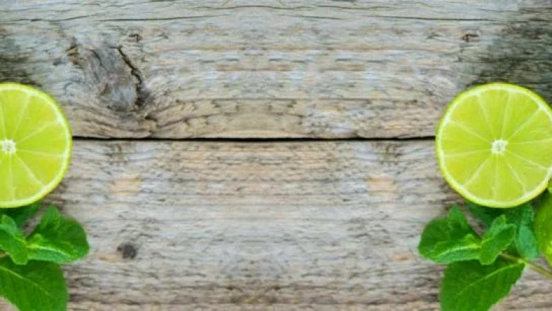 U.S. Lime Market Size, Trends, and Strategic Growth Outlook 2025-2032