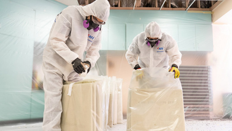 Commercial Mold Abatement: What You Need to Know