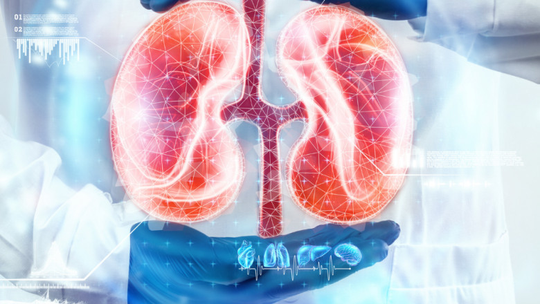 Comprehensive Insights on Nephroblastoma Treatment Market Trends and Scope