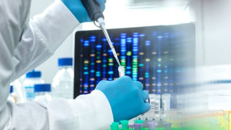 Genetic Blood Test at Home in Dubai – Family Health Insights