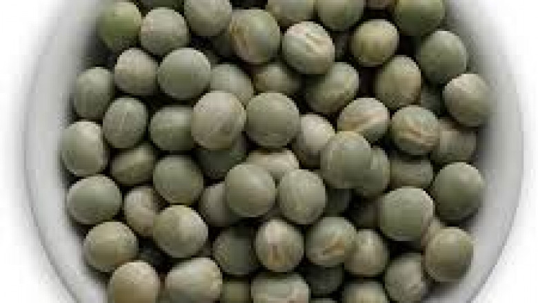 Pulse Ingredients Market Insights Reveal Regional Trends Influencing Purchasing and Manufacturing Behavior