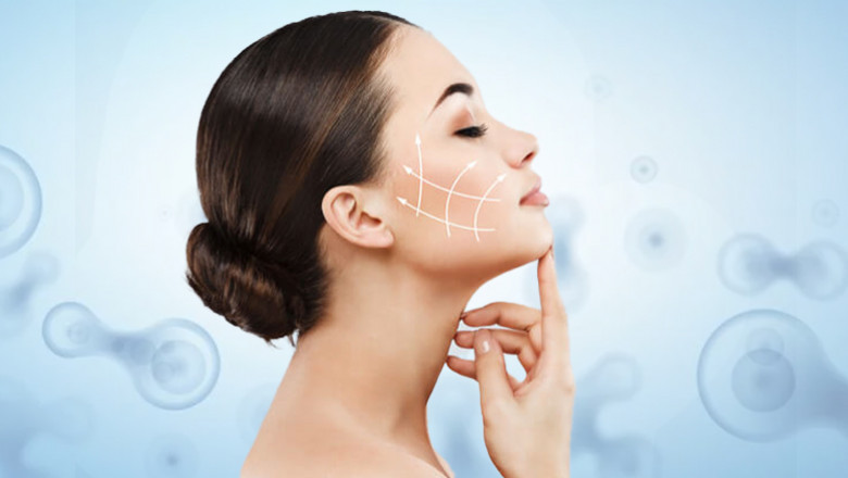 Stem Cell Therapy Has Benefits for Slowing Down Ageing