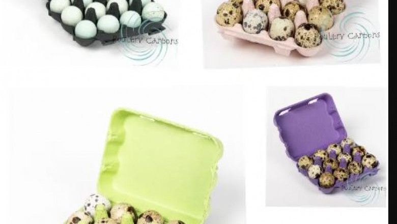 Understanding Egg Carton: More Than Just a Container