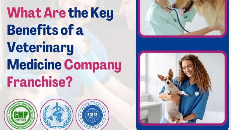 What Are the Key Benefits of a Veterinary Medicine Company Franchise?