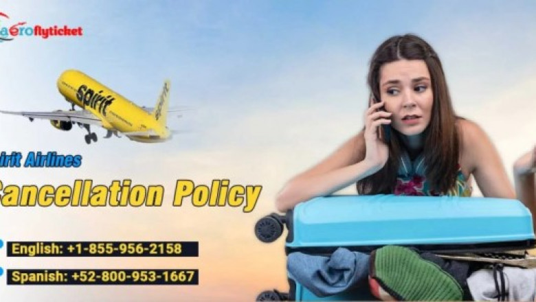 Your Guide to Spirit Airlines Cancellations: Refunds, Credits &amp; More