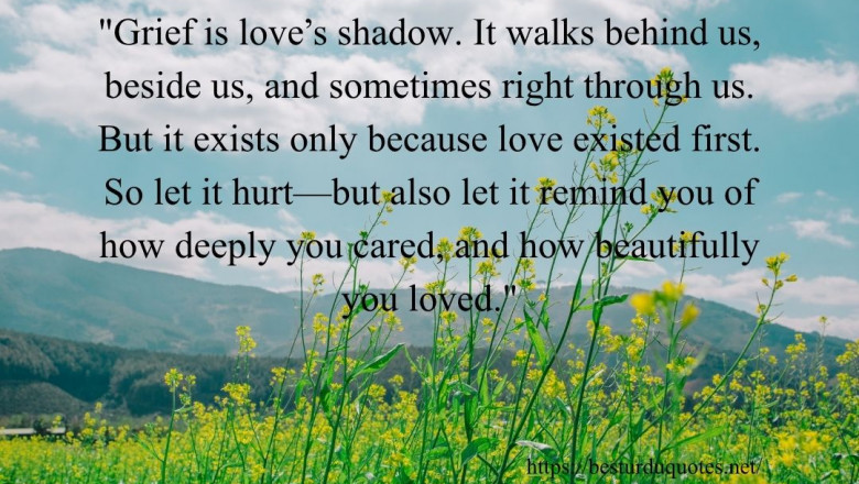 60 Best Grief Quotes to Help You Cope with Loss