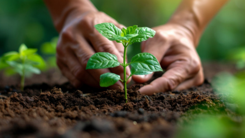 India Biofertilizers Market Size, Share, Analysis by Trends, 2032