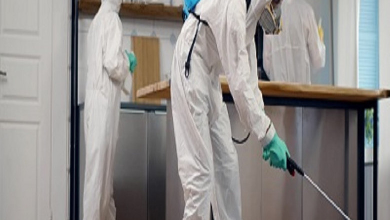 Pest Control Black Mountain: Your Pest Control Experts in Black Mountain
