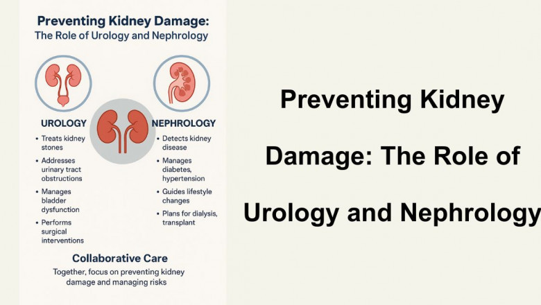 Preventing Kidney Damage: The Role of Urology and Nephrology