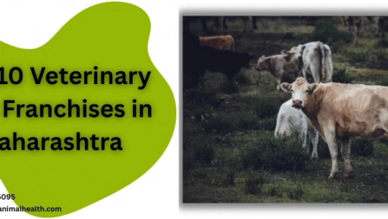 Top 10 Veterinary PCD Franchises in Maharashtra