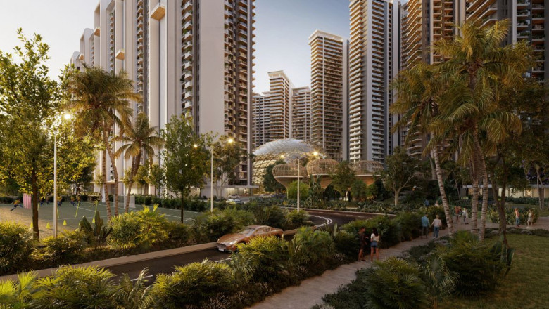 Top Reasons Elan The Emperor Is a Goldmine for Investors
