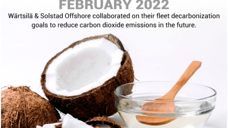 White Oil Market Supply Chain Overview and Strategic Insights to 2032