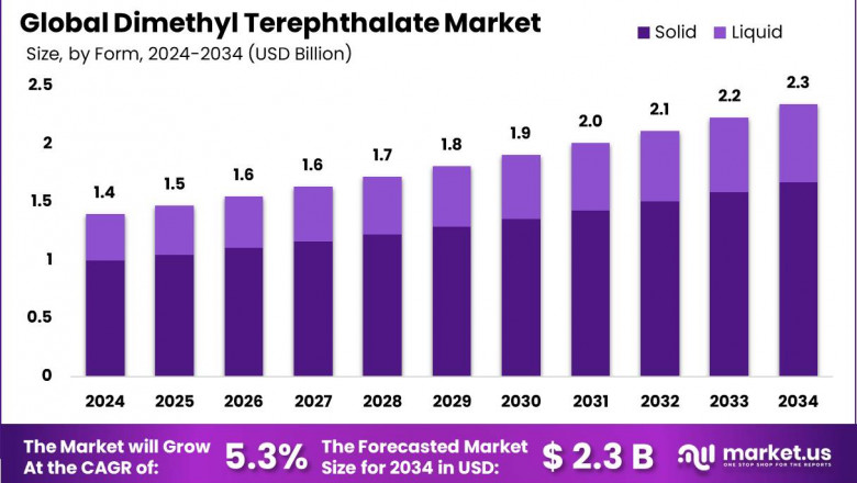 Dimethyl Terephthalate Market Size, Trends, and Economic Impact