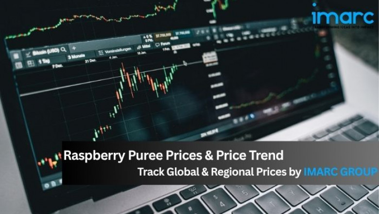 Raspberry Puree Prices, Trend, Index, Chart, News and Forecast Data