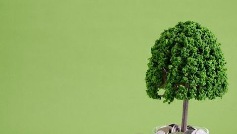 Startup Growth Hacks: Lessons from Fast-Growing Companies
