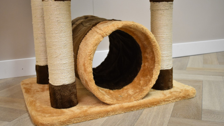 Wenig Platz? Ein Kratzbaum klein ist die clevere Lösung für dein Zuhause