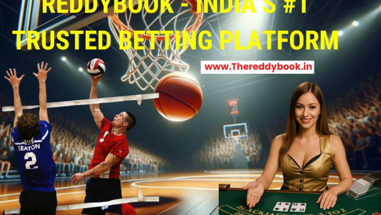 Bet Smart and Earn More with Reddybook India's Trusted Bet Hub