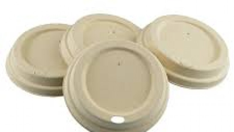 Biodegradable Lids Market Intelligence Reveals Growth Drivers and Competitive Insights