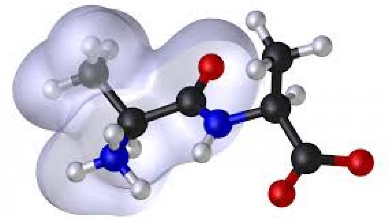 Gain In-depth Insights on Molecular Modelling Market Size Software and Services Demand