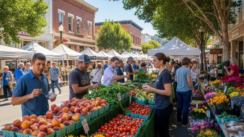 My Trip to Three Farmers Markets