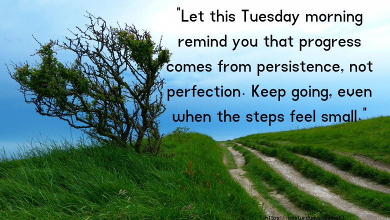 100 Best Wednesday Motivational Quotes to Power Through the Week