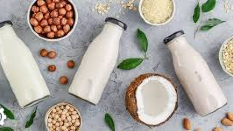 Dairy Alternatives Market Fueled by Growing Demand for Lactose-Free Beverage Options