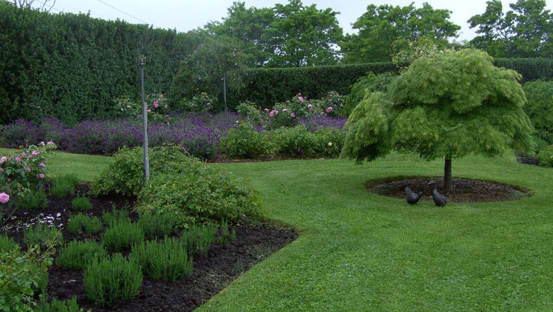 Semms Property Services: Making Your Gardens Bloom and Worries Wither