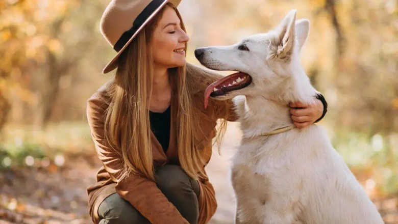 Dog Daycare Delhi: Your pets comfortable stay with safety &amp; fun
