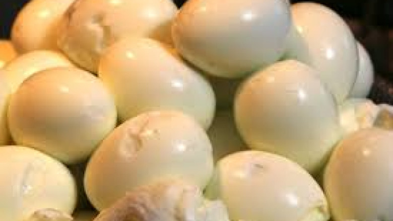 Frozen Eggs Market Technological Integrations Improving Production Efficiency Rapidly