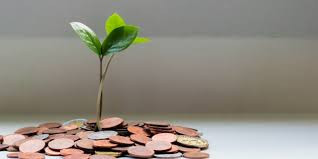 How Much Zakat on 10 Tola Gold