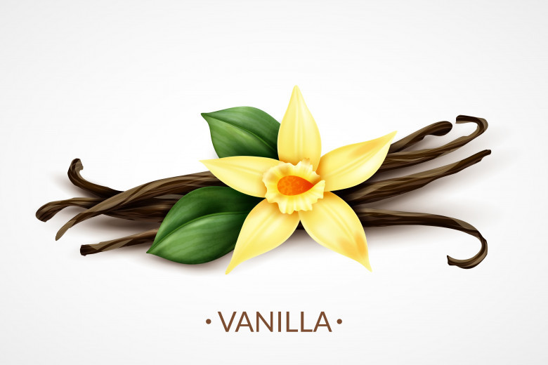 Vanilla Extract Market