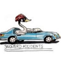 snowbirdaccidents