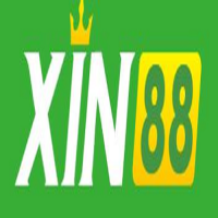 xin88st10com