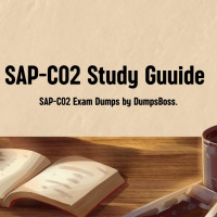 sapc02examdumps