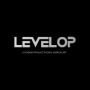 levelopconstructiongroup