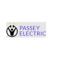 passeyelectric