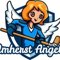 angelsforkidsamherstcom