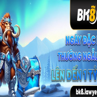 bk8lawyer