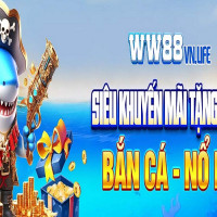 ww88vnlife