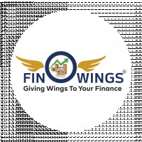 amitfinowings