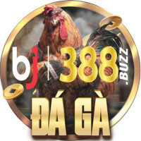 bj388buzz