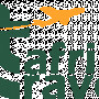 tafritravels