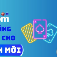 bet8scomtop