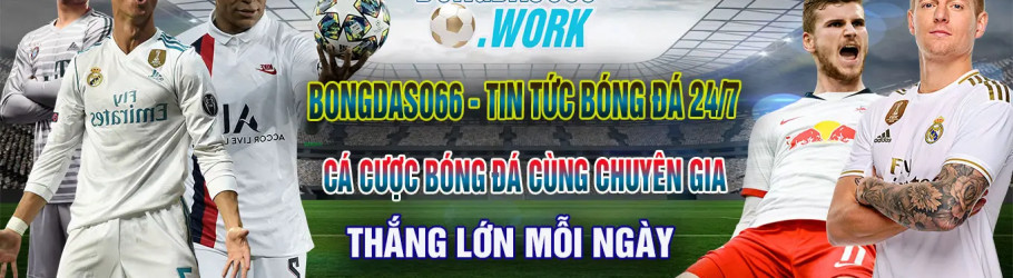 bongdaso66work